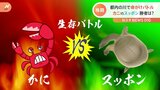 都内の川で生存バトル勃発！カニVSスッポン！仁義なき戦いの行方は？|TBS NEWS DIG
