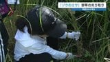 ゾウのエサとなる「ススキ」などの野草 小学生が刈り取ってプレゼント あす3日、熊本市動植物園へ | 熊本のニュース|RKK NEWS|RKK熊本放送