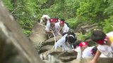 西日本最高峰の石鎚山で恒例の「お山開き」 信者らが御神像を背負い急な岩場を登る 頂上ではほら貝を吹き鳴らし1年間の無病息災祈る 愛媛 | 愛媛のニュース - Nスタえひめ|あいテレビは6チャンネル