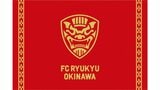 FC琉球 今年限定「J2・J3 百年構想リーグ」開幕戦、J2サガン鳥栖相手に白星発進　|　沖縄のニュース｜RBC 琉球放送