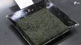 若い世代に“急須派”増える コロナ禍で寛ぎと健康機能性に関心 静岡茶業界も浸透に意欲 | 静岡のニュース | SBSNEWS | 静岡放送