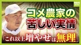 【コメ高騰】「収穫量上げろと言われても今が限界」農家は"コメ不足"に歯がゆい思い...重くのしかかる機械代や燃料費の高騰 高齢化進む日本のコメ生産【解説】|TBS NEWS DIG