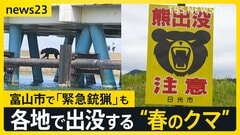 GWも警戒を！各地で出没する“春のクマ” …約1.5m・86kgの個体「緊急銃猟」も　京都や日光などの観光地では「クマ対策」迫られる【news23】| TBS CROSS DIG with Bloomberg