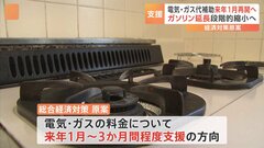 政府が電気・ガス料金の支援を来年1月から再開する方向で調整　財政負担も課題| TBS CROSS DIG with Bloomberg