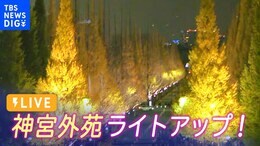 【ライブ】神宮外苑ライトアップ!黄金のイチョウ並木 ライブカメラ(11月26日19時半まで)/ Jingu Gaien, Tokyo|TBS NEWS DIG