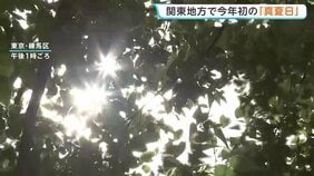 関東地方で今年初の「真夏日」に　東京の練馬で30.5℃記録　熱中症に注意|TBS NEWS DIG