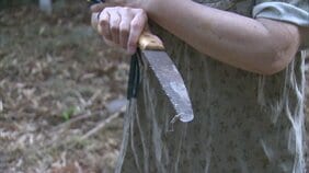 「のこぎりにはクマの毛が・・・」家の裏山にクマ　追い払おうとした70代の女性が転んで骨折　宮城・大崎市|TBS NEWS DIG