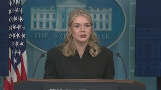 米ホワイトハウスのレビット報道官　来春に第2子を出産へ　職務も継続| TBS CROSS DIG with Bloomberg