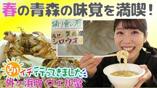 「ピチピチ動いてる！」朝獲れシロウオの“踊り食い”に旬のトゲクリガニ——外ヶ浜町「蟹田駅前市場ウェル蟹」で見つけた春の味覚【わっち!!朝イチ行ってきました】　|　青森のニュース│ATV NEWS│青森テレビ