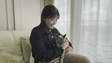 弊社の代表と取締役、ネコ好きなんですけど…」ネコがなめても大丈夫な