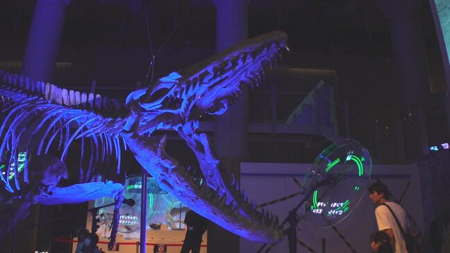 “海の王者の恐竜”モササウルスの骨格も 古代の海洋生物の謎を解き明かす夏の特別展 山梨県立科学館|TBS NEWS DIG