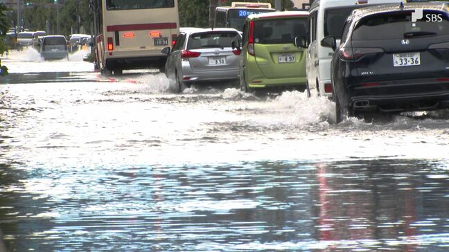なぜ台風15号の大雨で静岡空港の駐車場の一部が水没？ 専門家が「キキクルとハザードマップの併用」を提言=静岡【わたしの防災】|TBS NEWS DIG
