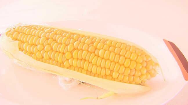 竹田市産「スイートコーン」旬入り　糖度20度超も　大分|TBS NEWS DIG