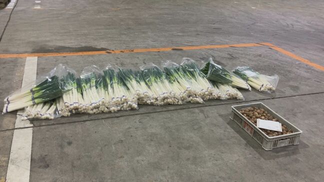 広範囲・長期間の寒波で「物流」「野菜価格」にも影響　キャベツ・ハクサイ・ブロッコリー・ニンジンなどは4月まで品薄で高値傾向の見通し|TBS NEWS DIG