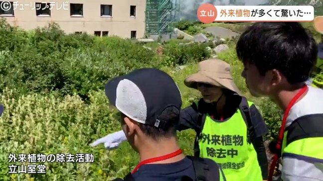 未来へつなぐ立山の自然　富山市内の中学生16名　外来植物の除去活動に参加　環境保護の大切さ学ぶ　北アルプス立山連峰|TBS NEWS DIG