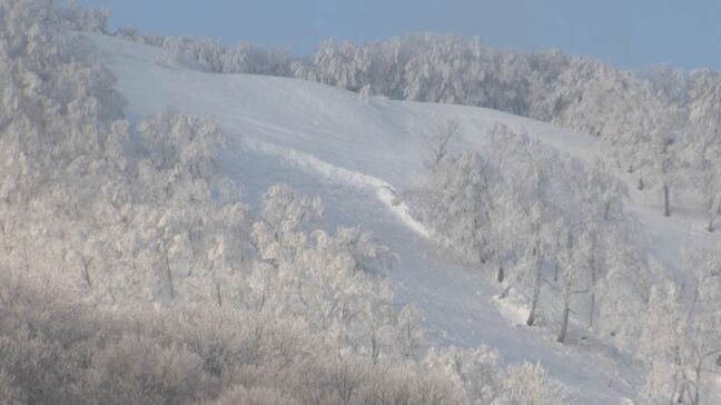 5人巻き込まれたスキー場の雪崩 長さ約600メートルの規模「予兆なく発生…非常に珍しいケース」 斜面上部で「全層雪崩」が発生…途中で雪を巻き込みながら拡大の可能性 長野・新潟県境のスキー場|TBS NEWS DIG