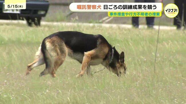 証拠保全のため知らせ方は「伏せ」　託警察犬の競技大会を開催　匂いを選別する種目に足跡をたどる種目を実施　広島|TBS NEWS DIG