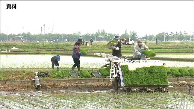 田植え進捗率は24.5% 始期は平年より1日遅い 宮城|TBS NEWS DIG