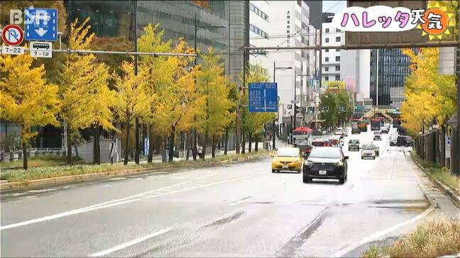 終日荒れた『文化の日』上越市ではひょうやあられも【新潟県】新潟市では雨が降ったりやんだり|TBS NEWS DIG