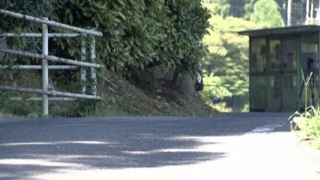 男子高校生がクマに襲われる 帰宅途中に頭と背中を引っかかれケガ…「街に出てくるなんて珍しい」近隣小学校の児童は車で登校 岐阜・中津川市|TBS NEWS DIG
