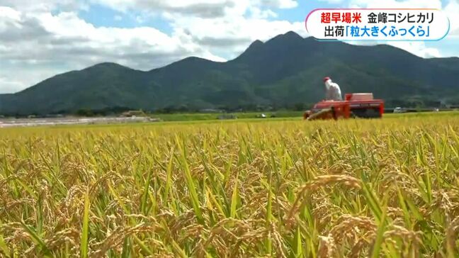 超早場米「金峰コシヒカリ」出荷始まる　今年は病害虫少なく品質良好　農家へ支払う概算金は4割アップ　鹿児島|TBS NEWS DIG