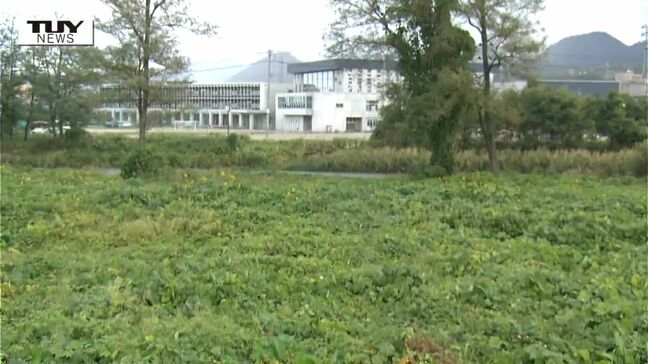 【動画】山形市の私立高校の近くでクマ目撃　米沢市では神社の壁を壊した可能性高いクマを駆除（山形）|TBS NEWS DIG