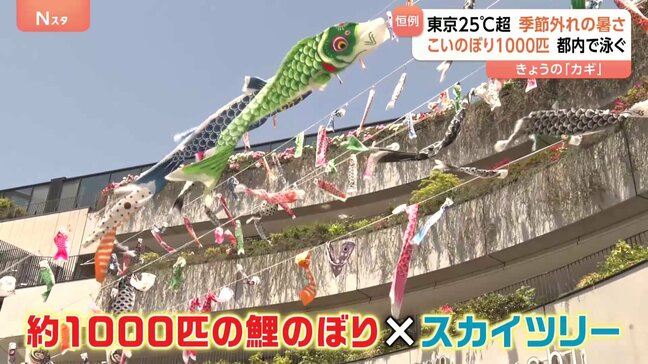 「揺れるところが好き！」スカイツリー恒例「こいのぼりフェスティバル」にまさかの参戦！“屋根より高いチンアナゴ”|TBS NEWS DIG