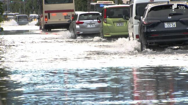 なぜ台風15号の大雨で静岡空港の駐車場の一部が水没? 専門家が「キキクルとハザードマップの併用」を提言=静岡【わたしの防災】|TBS NEWS DIG
