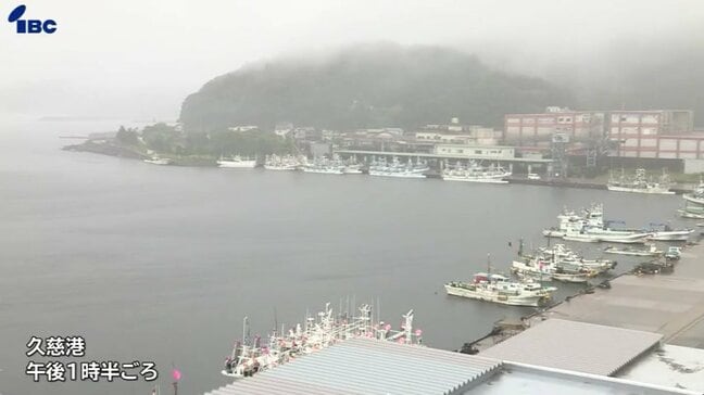 二戸地域や久慈市と花巻市にレベル3大雨警報 盛岡市には一時レベル3土砂災害警報発表も 一戸町では住宅1棟床下浸水 岩手県内で大雨|TBS NEWS DIG