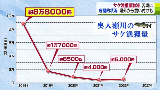 9月からの捕獲数わずか49匹「危機的状況」サケの漁獲量が激減　ふ化のために北海道から卵の買い付けも回復の道のり険しく|TBS NEWS DIG