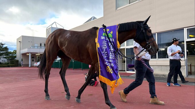 岩手競馬クラスターカップ　力強く追い込んだアンズアメが首差の大接戦制し優勝　岩手勢はルコルセールが5着　盛岡市|TBS NEWS DIG