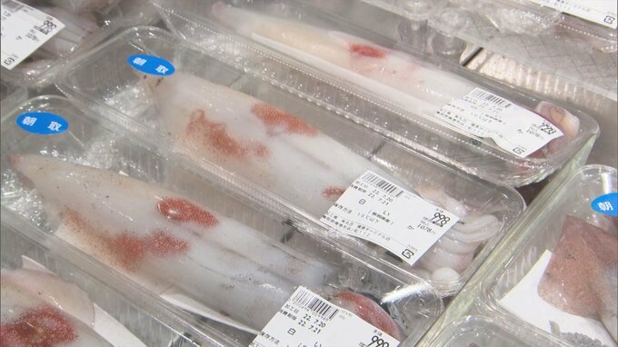 「こげん捕れんのは初めて…」シロイカ不漁で価格高騰　1匹1000円超えも　|　BSSニュース | BSS山陰放送