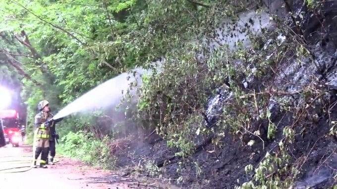 県内で山林火災が相次ぐ　大船渡は通報から1時間で鎮圧　軽米でも1.6ha焼く火事発生　岩手|TBS NEWS DIG