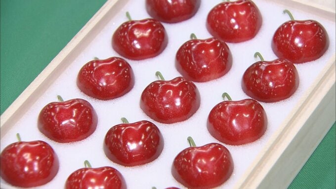 1粒3万円超！　“高級サクランボ”「青森ハートビート」　初競りで1箱（15粒入り）が50万円で競り落とされる　真っ赤に輝く　|　青森のニュース│ATV NEWS│青森テレビ