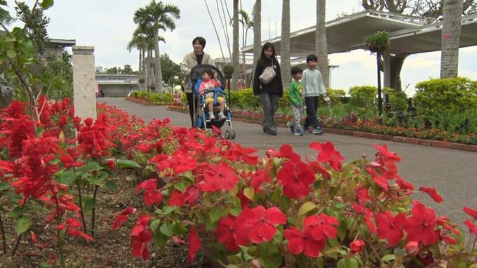 「いろとりどり」の自然がつくり出すカラフルな世界を演出　沖縄こどもの国で「花まつり」開催|TBS NEWS DIG