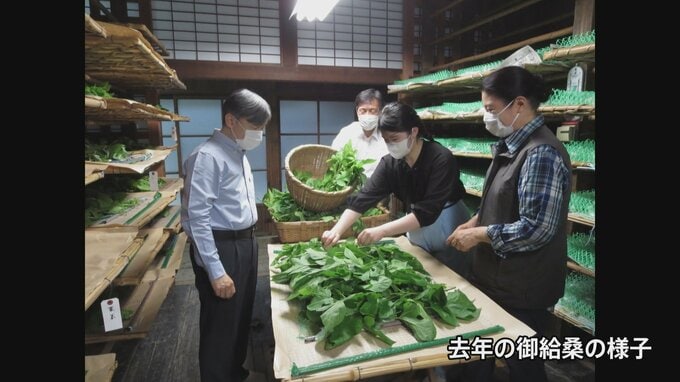 皇后さまが「御養蚕始の儀」　天皇陛下と愛子さまも|TBS NEWS DIG