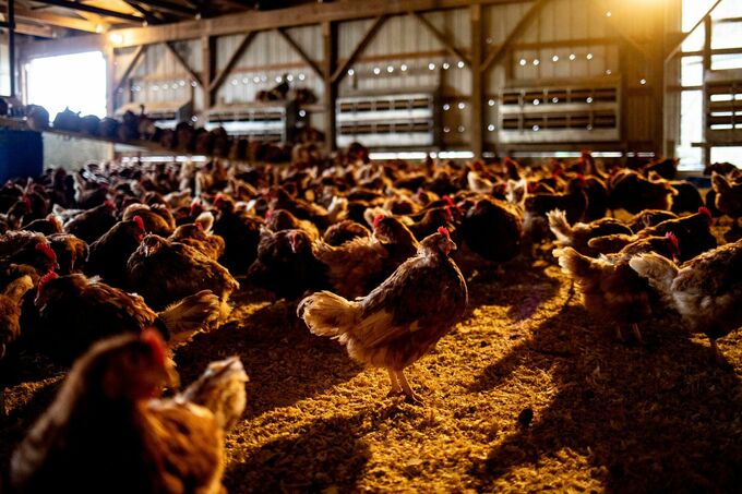 環境債が相次ぎ債務不履行、グリーン投資にリスク懸念も