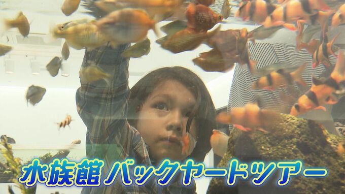 「家の塩では魚は飼えません」1日4トンの海水を作る水族館の舞台裏に潜入　【広島もとまち水族館】　　|　RCC NEWS | 広島ニュース | RCC中国放送