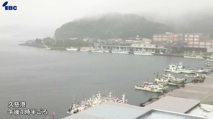 二戸地域や久慈市と花巻市にレベル3大雨警報　盛岡市には一時レベル3土砂災害警報発表も　一戸町では住宅1棟床下浸水　岩手県内で大雨|TBS NEWS DIG