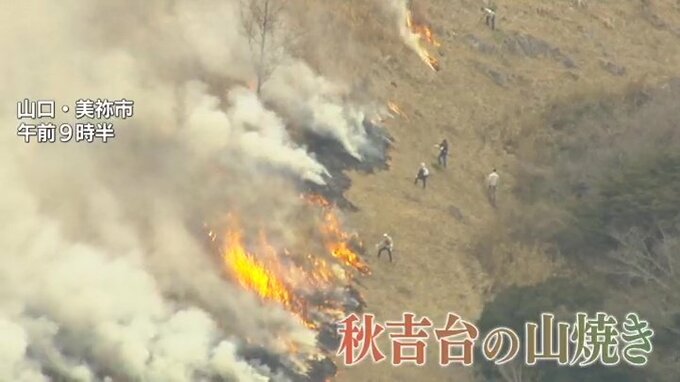 炎の帯が1100ヘクタール焦がす　春を呼ぶ山口県秋吉台の山焼き
