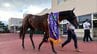 岩手競馬クラスターカップ　力強く追い込んだアンズアメが首差の大接戦制し優勝　岩手勢はルコルセールが5着　盛岡市　|　IBC NEWS | IBC岩手放送