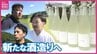 「新しいことをし続けたい…」　神主×杜氏×農家の異業種トリオが3度目の挑戦へ！ごはんでおいしい「いのちの壱」で酒造り 稲刈り神事 広島　|　RCC NEWS | 広島ニュース | RCC中国放送