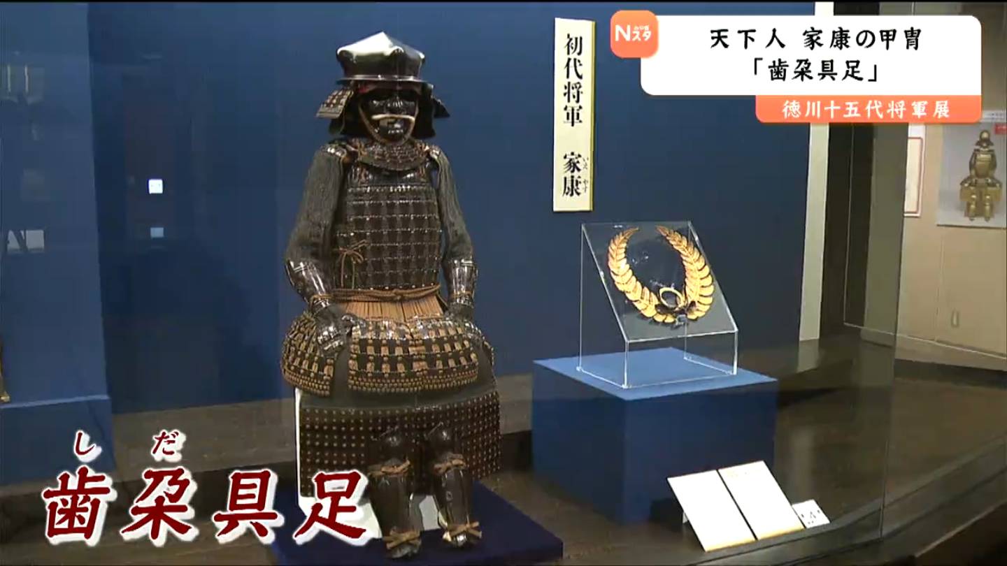 ※要説明文 実質コンプリート 全9種中8種『天下人』具足/甲冑 　　　私は地底人 関ヶ原の合戦で“家康が着用”した甲冑！歯朶具足（しだぐそく）【徳川十