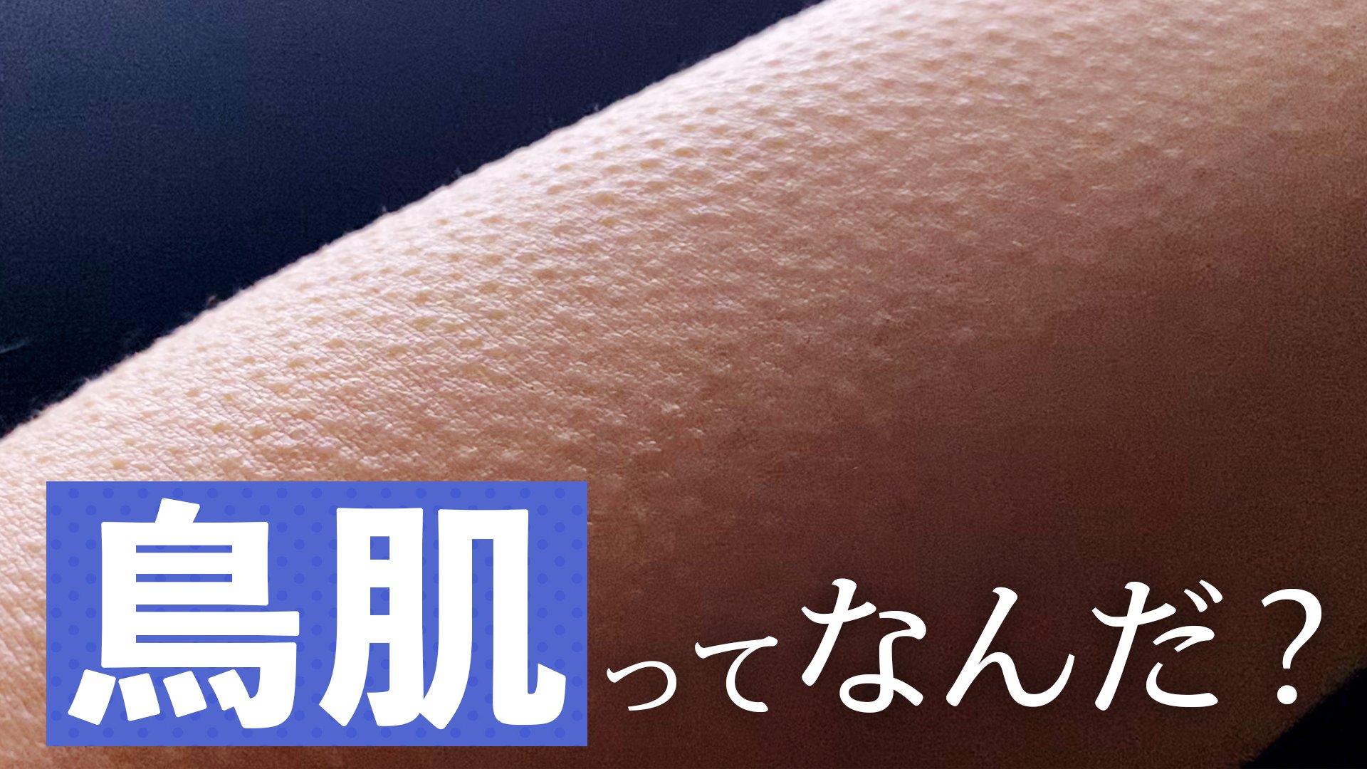 鳥肌 が 止まら ない