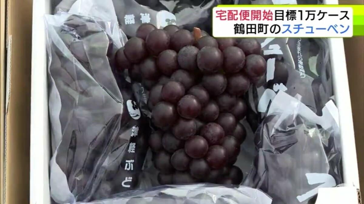 果汁の甘さ楽しんで」青森県鶴田町が栽培面積・生産量日本一を誇る特産