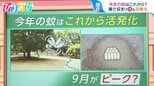「家に入るときにフェイント」が有効!?今年の『蚊』は9月から?活発化する蚊に刺されない方法【ひるおび】|TBS NEWS DIG