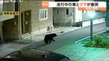 「仙台のクマ目撃件数は32件で2025年の10倍以上」泉区の市道で軽乗用車とクマが衝突する事故|TBS NEWS DIG