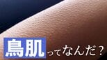 「鳥肌」はなぜ存在するのか。寒さから身を守る?意味がない?“鳥肌研究”の解説で感服の鳥肌がたった|TBS NEWS DIG