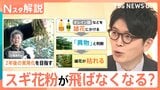 「雄花だけを枯らす」最新研究 スギ花粉が飛ばなくなる未来も…？くしゃみ・鼻水／鼻づまり…症状によって薬を使い分けを【Nスタ解説】|TBS NEWS DIG