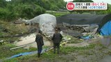 肩を落とす農家「おそらくだめですね…」益城町の田んぼ・山都町の葉たばこハウス被災 熊本 | 熊本のニュース|RKK NEWS|RKK熊本放送